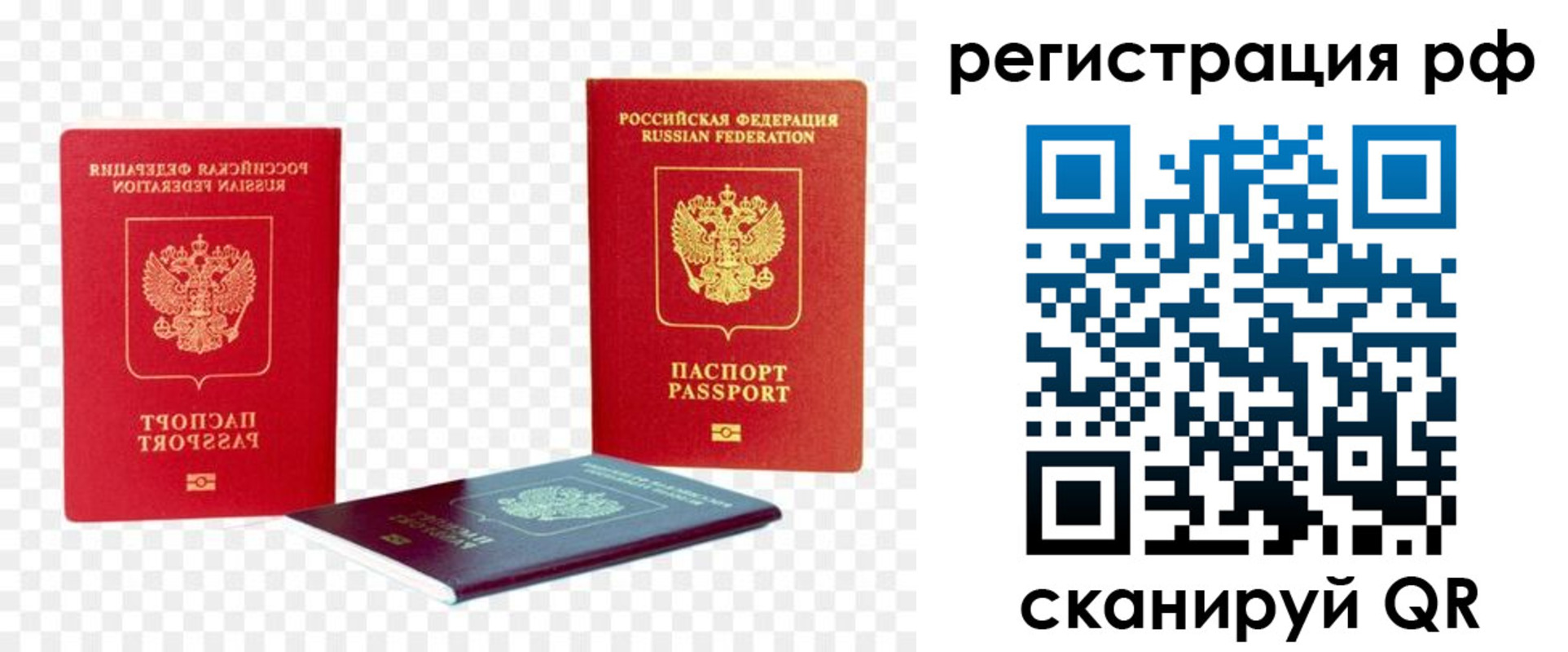 прописка паспорт в Полярных Зорях