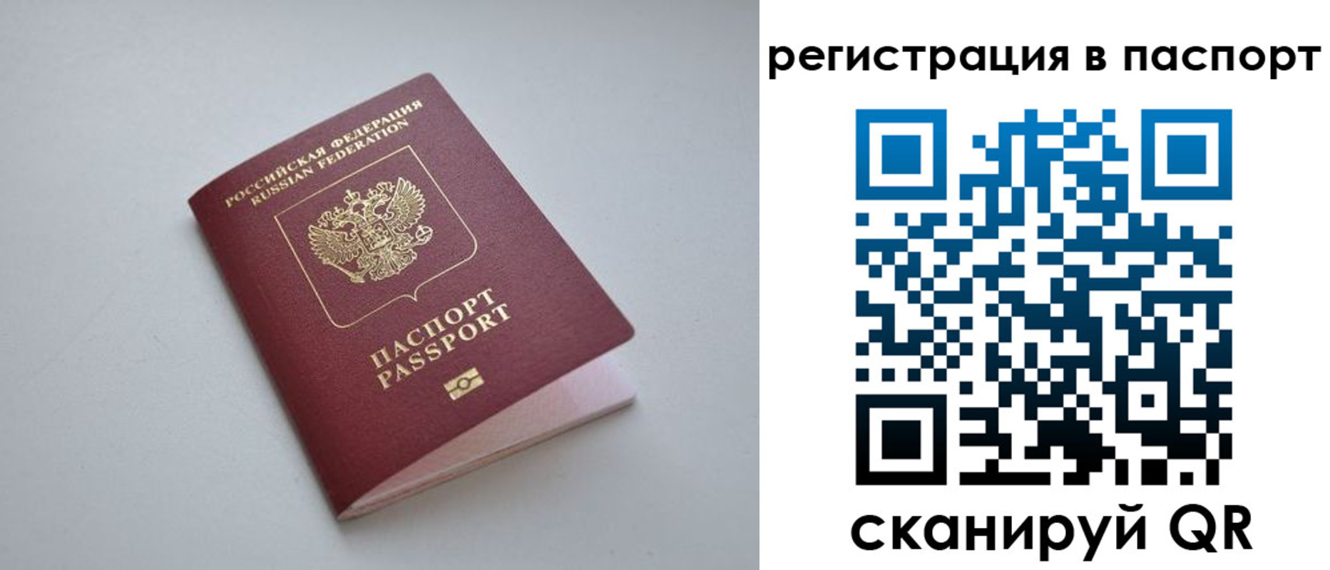 найти адрес прописки в Полярных Зорях